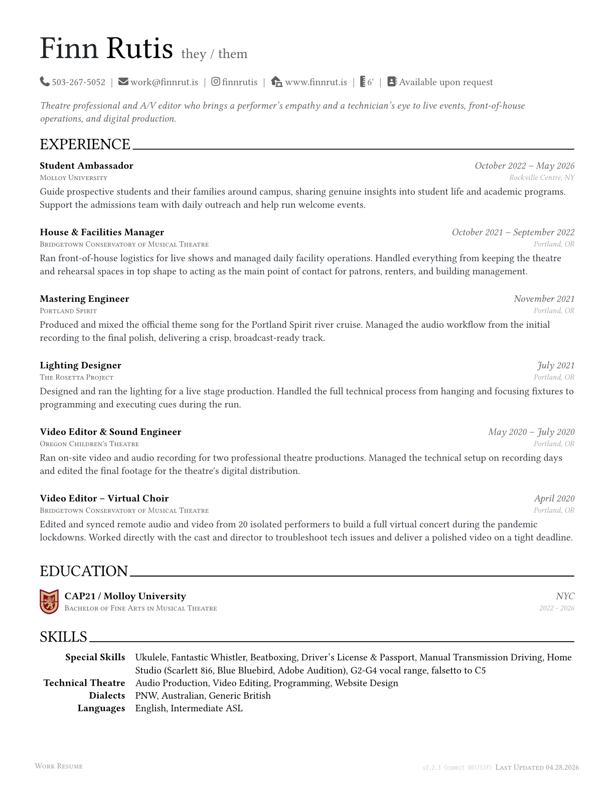 Work Resume preview